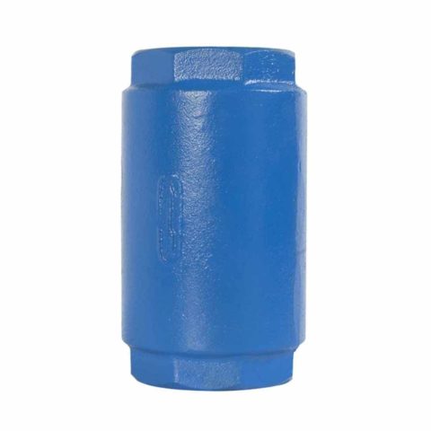 VÁLVULA CHECK SUMERGIBLE PARA COLUMNA MARCA FLOMATIC, DIÁMETRO 2", 400 PSI