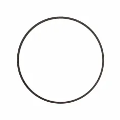JUNTA TÓRICA DE OBTURACIÓN (REFACCIÓN) PARA BOMBAS ALTAMIRA SERIES SCALA 50 Y SCALA 100